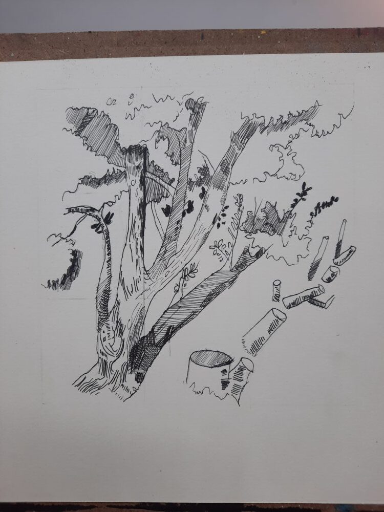 Tác phẩm Trần Xuân Thuận | 2026-03-04 34