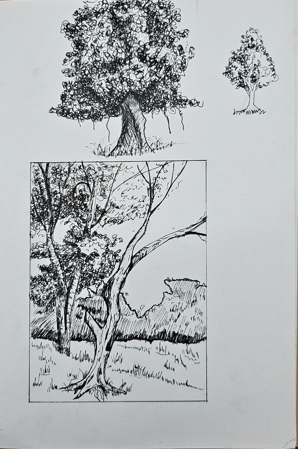 Tác phẩm KID Đăng Khoa 2014 | 2026-03-01 33