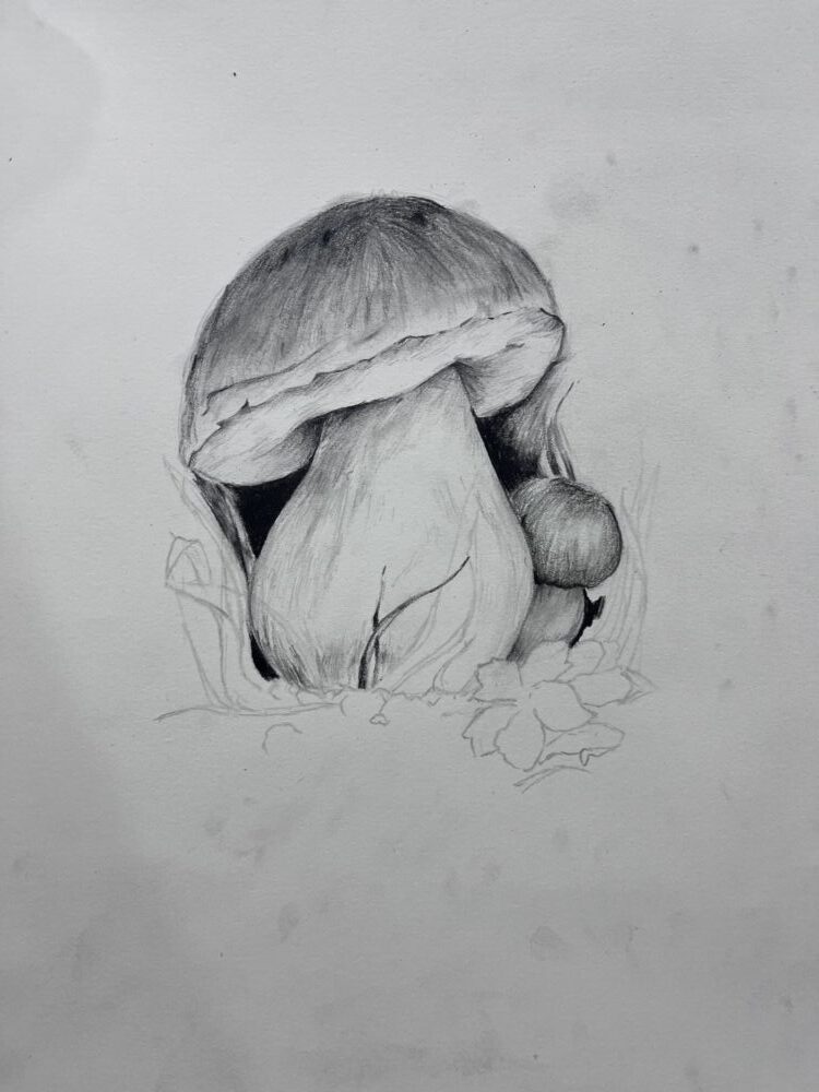 Tác phẩm Hà Vy | 2026-03-27 34