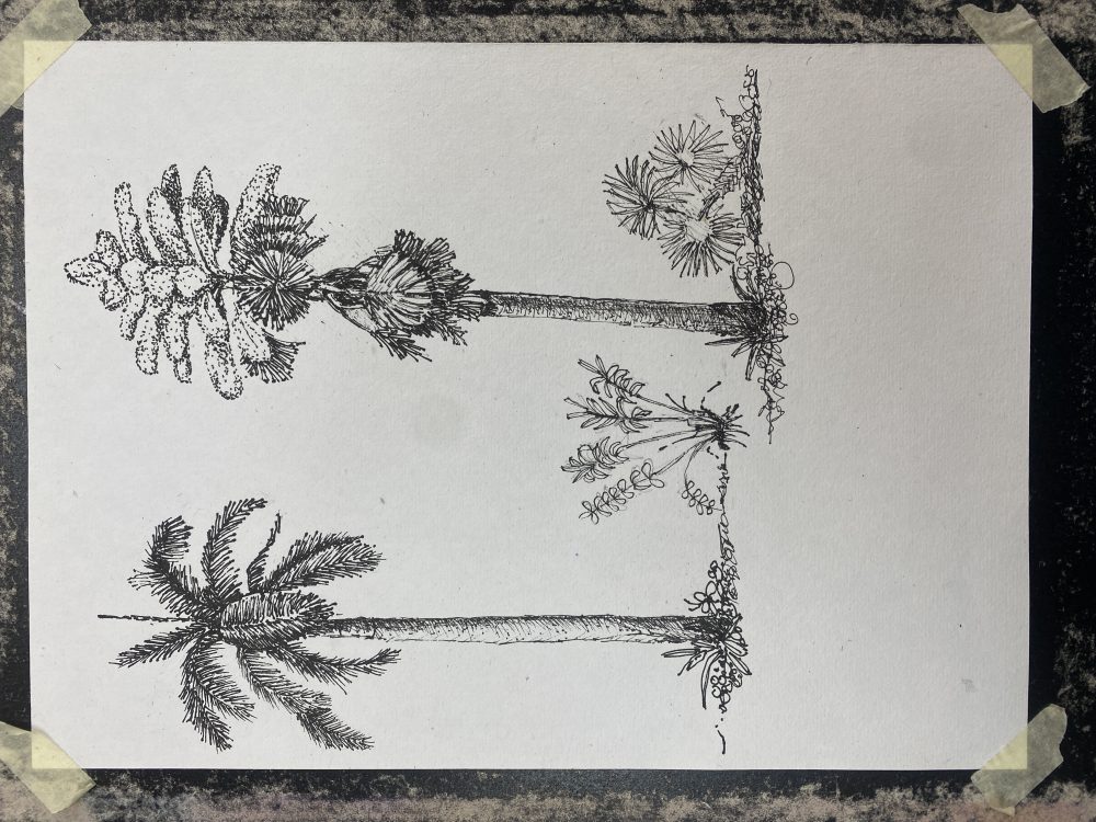 Tác phẩm Bùi Thanh Hương | 2026-03-18 32