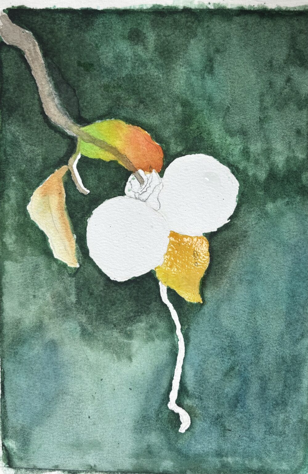 Tác phẩm Thiên Lý | 2026-03-01 34