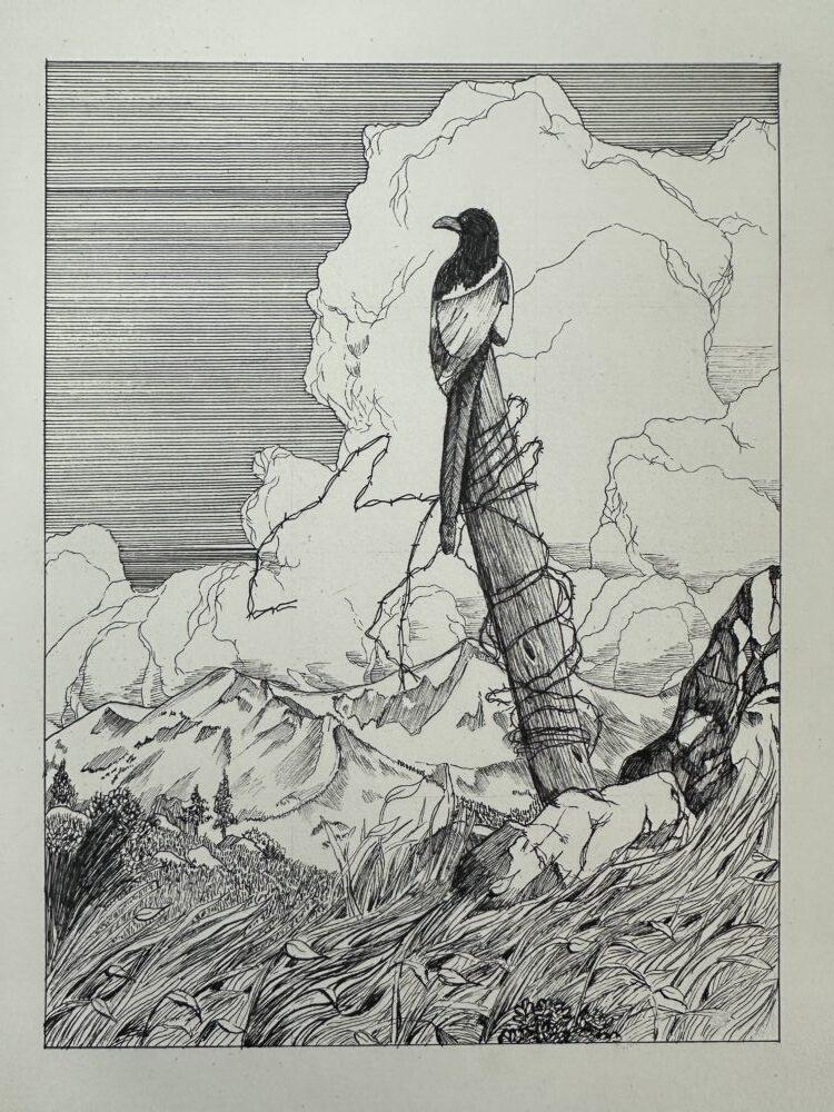 Tác phẩm Trương Lê Thiên Phúc | 2026-03-05 32