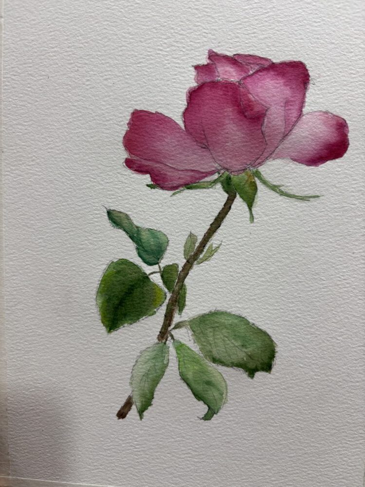 Tác phẩm Phạm Nhung | 2026-03-14 34