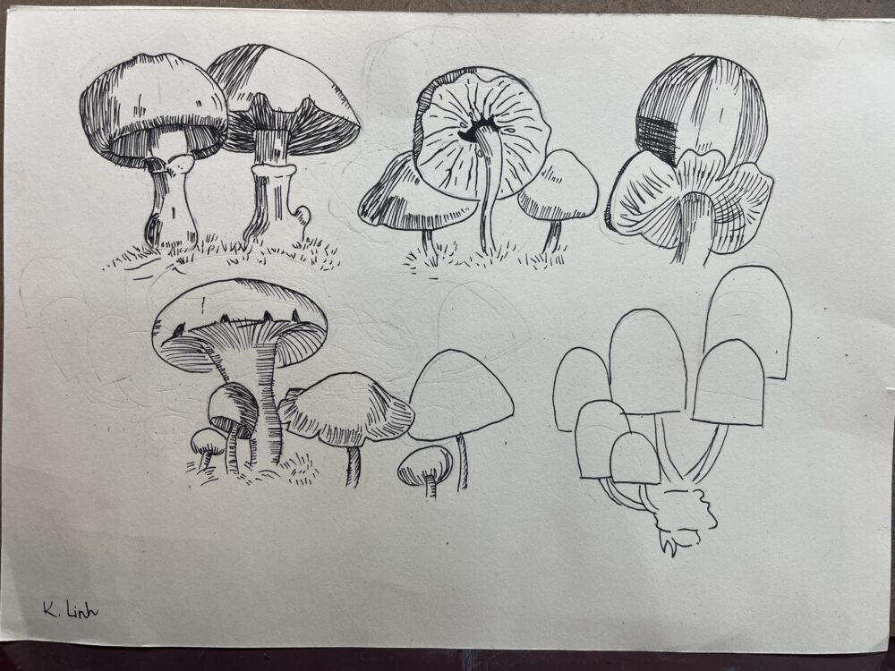 Tác phẩm Khánh Linh | 2026-03-01 33