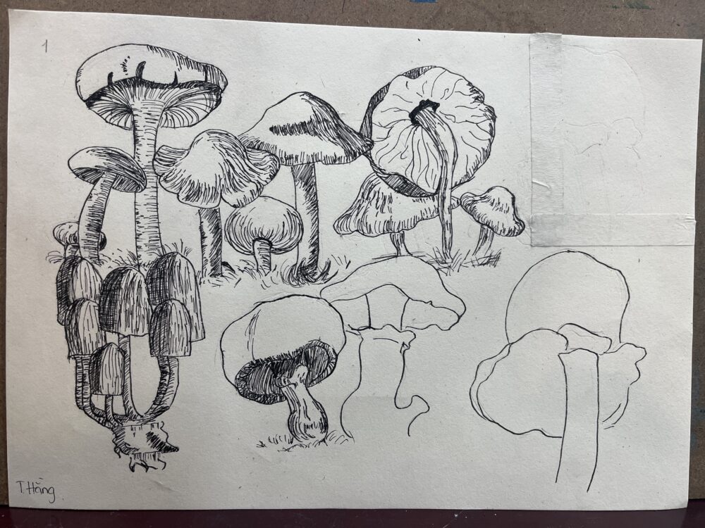 Tác phẩm Thanh Hằng | 2026-03-01 33