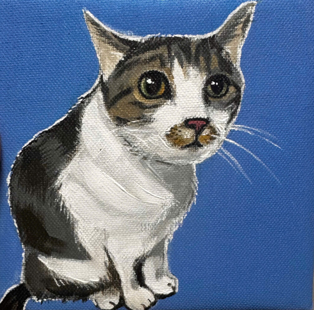 Ảnh của Tạ Minh Châu – 2026-03-14 22:30:13