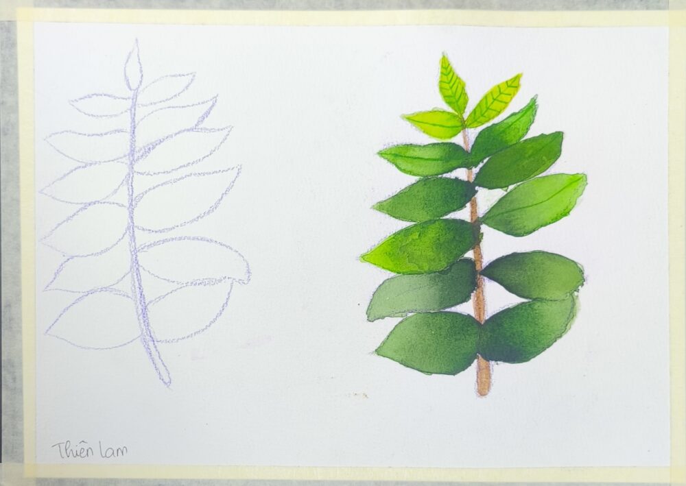 Tác phẩm TEEN Hồ Thiên Lam | 2026-06-05 33