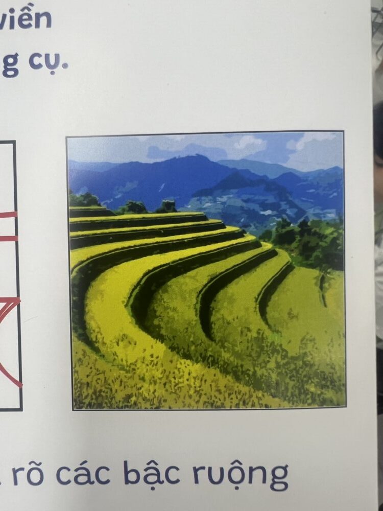 Tác phẩm Bùi Ngọc Mai | 2026-06-12 32