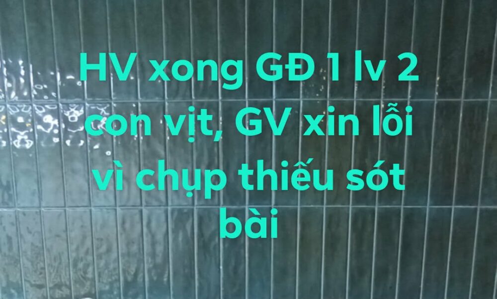 Tác phẩm KID Lê Viên Khánh Trân 2021 | 2026-07-04 32